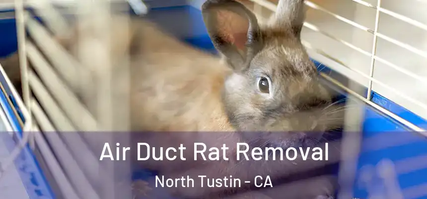  Air Duct Rat Removal North Tustin - CA