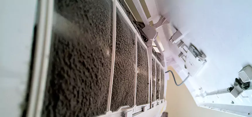 Preventive Air Duct Bacteria Removal in North Tustin