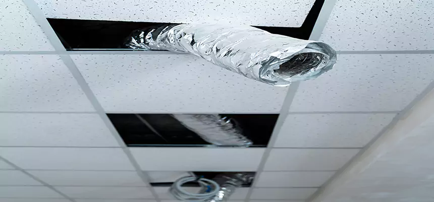 Affordable HVAC Sanitizing After Pest Removal in North Tustin