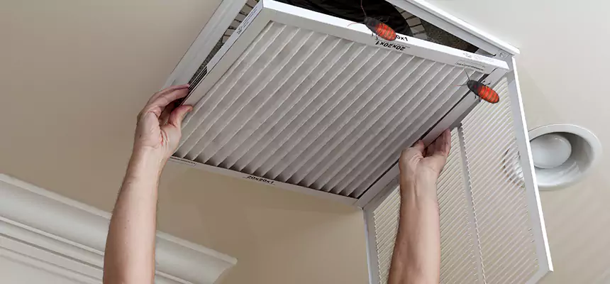 Our Insect Removal from Air Ducts Services in North Tustin, CA