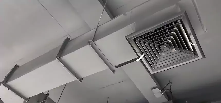 Our Pest Removal From Ducts Services in North Tustin, CA