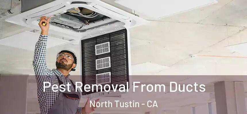  Pest Removal From Ducts North Tustin - CA
