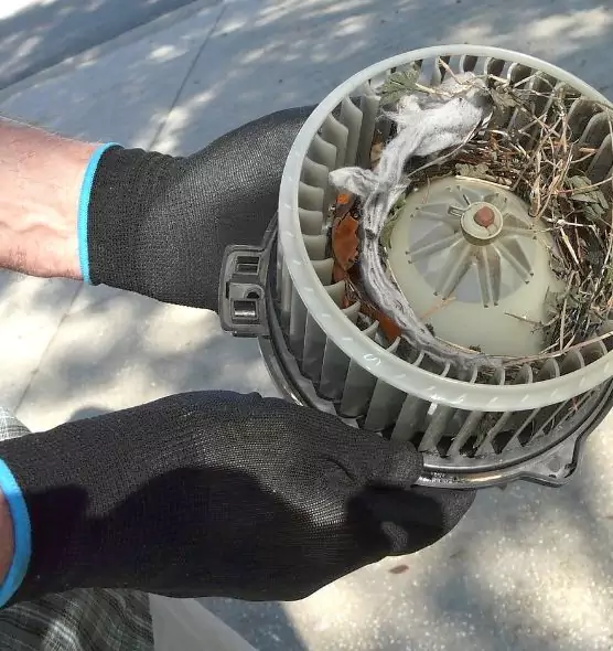 About Air Duct Rat Removal in North Tustin, CA